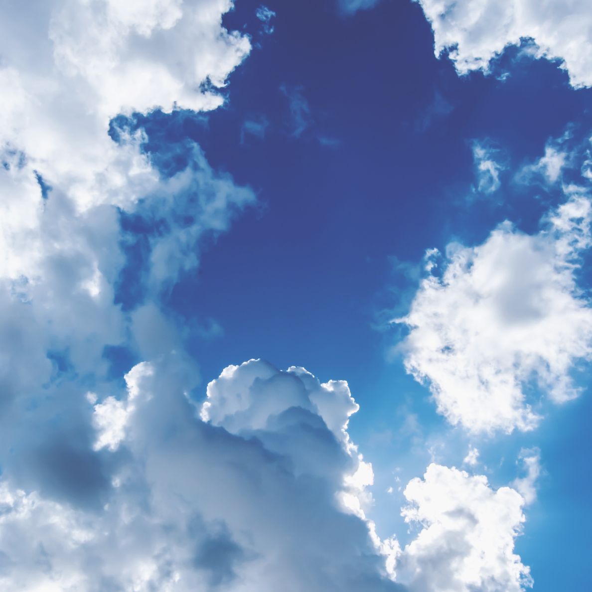 Ciel Ciel